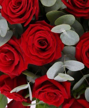 Imaginea produsului 23 Trandafiri Roșii în Coșuleț