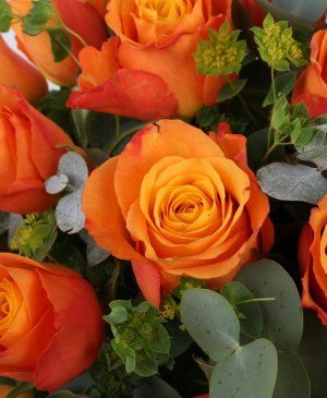 Imaginea produsului 23 Trandafiri Portocalii în Coșuleț Alb