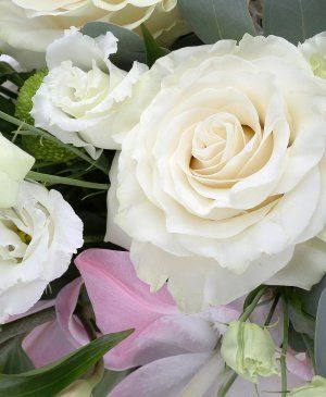 Imaginea produsului Fulg De Nea