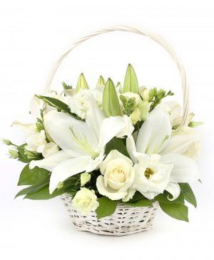 Imaginea produsului Alb Porţelan Imaginea produsului Alb Porţelan