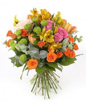 Imaginea produsului Când Visele Prind Aripi Imaginea produsului Când Visele Prind Aripi