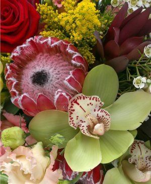 Imaginea produsului Bogăție Cuceritoare