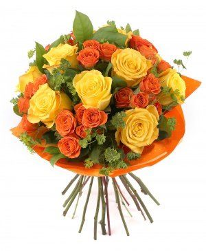 Imaginea produsului Căldură Nobilă Imaginea produsului Căldură Nobilă