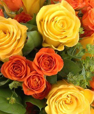 Imaginea produsului Căldură Nobilă