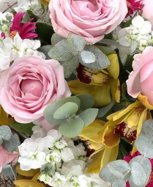 Imaginea produsului Rosalinda