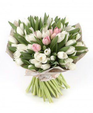 Imaginea produsului 75 Lalele