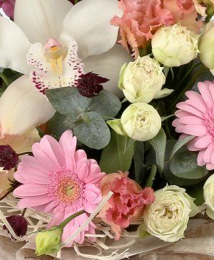 Imaginea produsului Merci Beaucoup