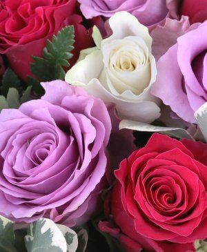 Imaginea produsului Inimă Multicoloră Trandafiri