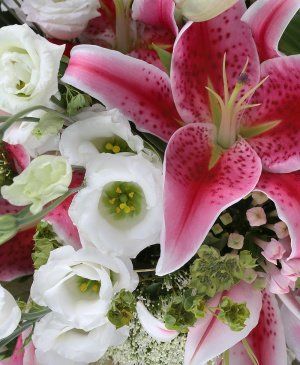 Imaginea produsului Vâltoarea Pasiunii