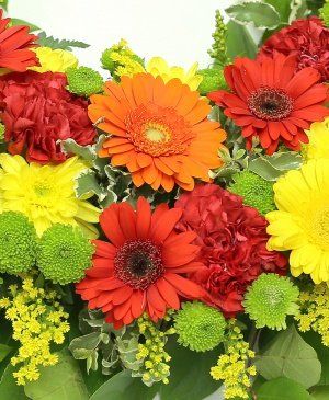 Imaginea produsului întoarcere La Natură