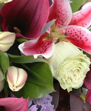 Imaginea produsului Gest Sincer