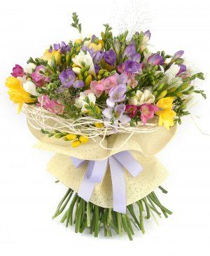 Imaginea produsului 99 Frezii Multicolore Imaginea produsului 99 Frezii Multicolore