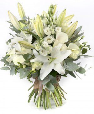 Imaginea produsului Gingășia Zăpezii Imaginea produsului Gingășia Zăpezii