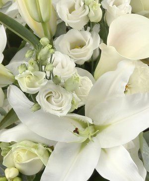 Imaginea produsului Gingășia Zăpezii