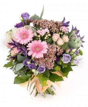 Imaginea produsului Delicatețe Majestuoasă Imaginea produsului Delicatețe Majestuoasă