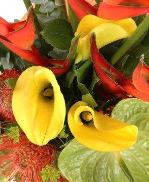 Imaginea produsului Senzații Unice