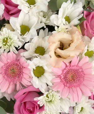 Imaginea produsului Diafan și Senzual