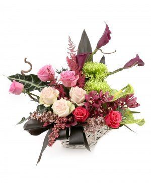 Imaginea produsului Apreciere Distinctă Imaginea produsului Apreciere Distinctă