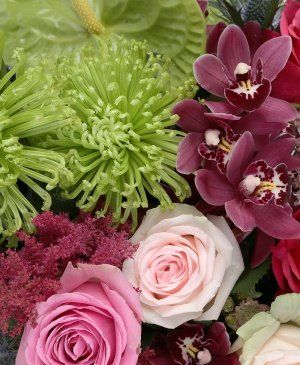 Imaginea produsului Apreciere Distinctă