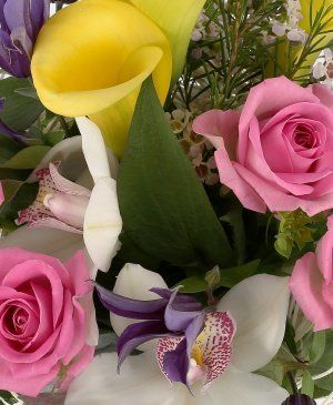 Imaginea produsului Valuri Optimiste