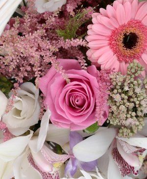 Imaginea produsului Coș Euforic