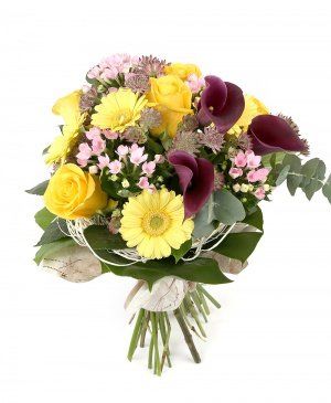 Imaginea produsului Nuanțe Catifelate