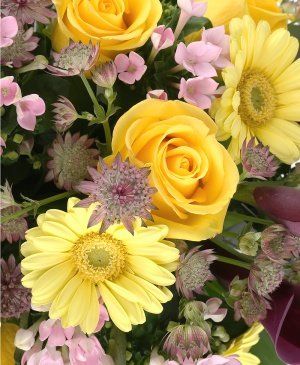 Imaginea produsului Nuanțe Catifelate