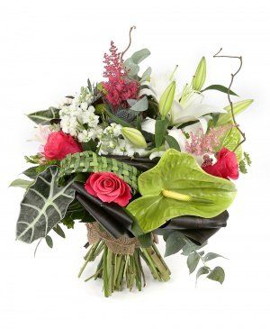 Imaginea produsului Așteptări înalte