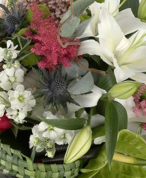 Imaginea produsului Așteptări înalte