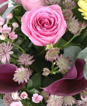 Imaginea produsului Afecțiune Adevărată