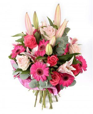 Imaginea produsului Puritate Sufletească