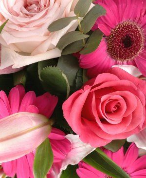 Imaginea produsului Puritate Sufletească