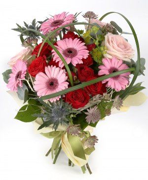 Imaginea produsului Aprecieri Exclusiviste