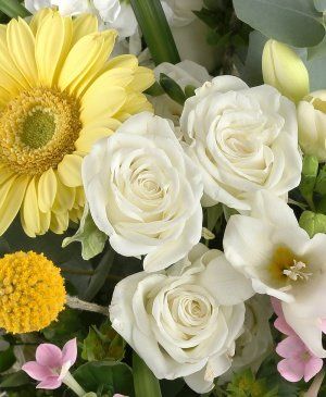 Imaginea produsului Celebrare Prețioasă