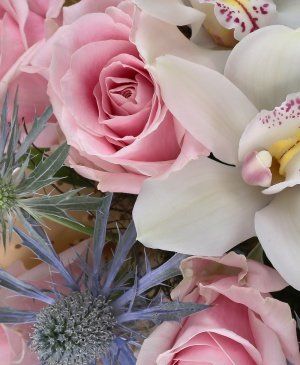 Imaginea produsului Yin şi Yang