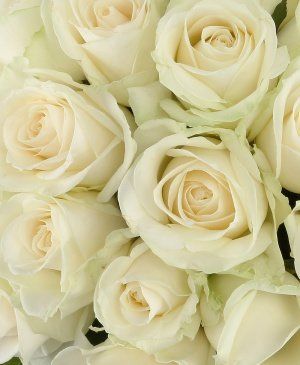 Imaginea produsului 25 Trandafiri Albi