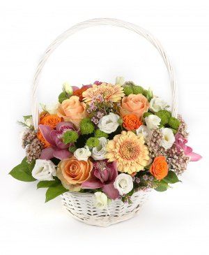 Imaginea produsului Adorația Culorilor