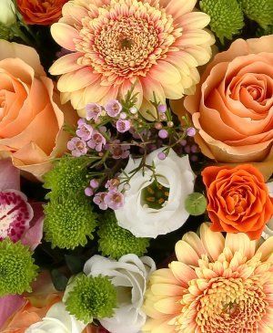 Imaginea produsului Adorația Culorilor