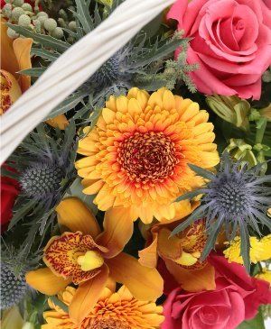 Imaginea produsului Coș De Sărbătoare