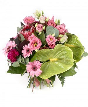 Imaginea produsului Secretele Naturii