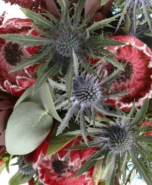 Imaginea produsului Dragoste Pură