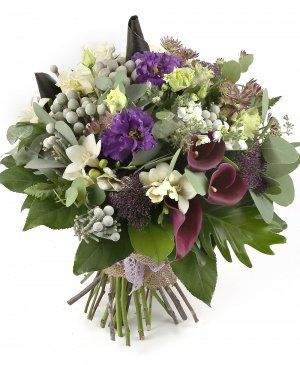 Imaginea produsului Elixir Sofisticat