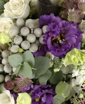 Imaginea produsului Elixir Sofisticat