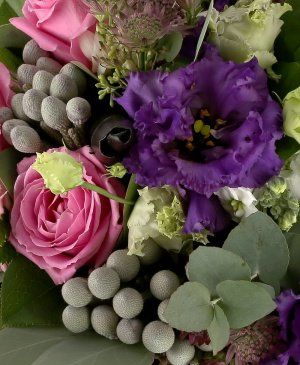 Imaginea produsului Mereu Optimist