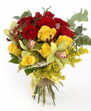 Imaginea produsului Splendoare Infinită