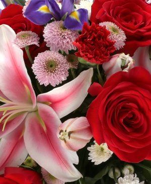 Imaginea produsului Surâs Enigmatic