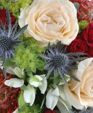 Imaginea produsului Acord Fin