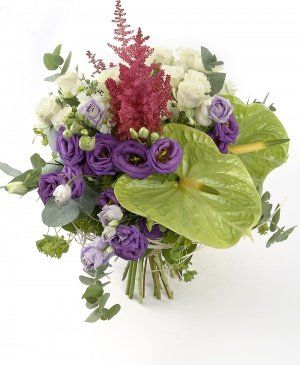 Imaginea produsului Stil Elevat Imaginea produsului Stil Elevat