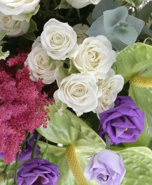 Imaginea produsului Stil Elevat