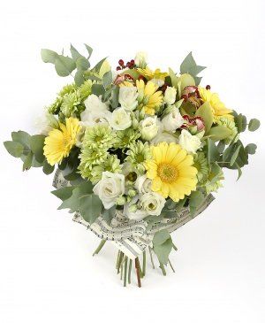 Imaginea produsului Mix Vesel Imaginea produsului Mix Vesel